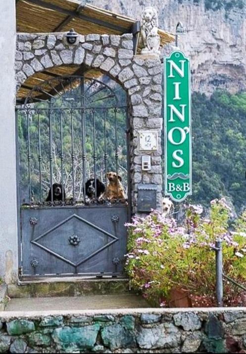 Ferienwohnung Nino'S In Nocelle Positano Exterior foto