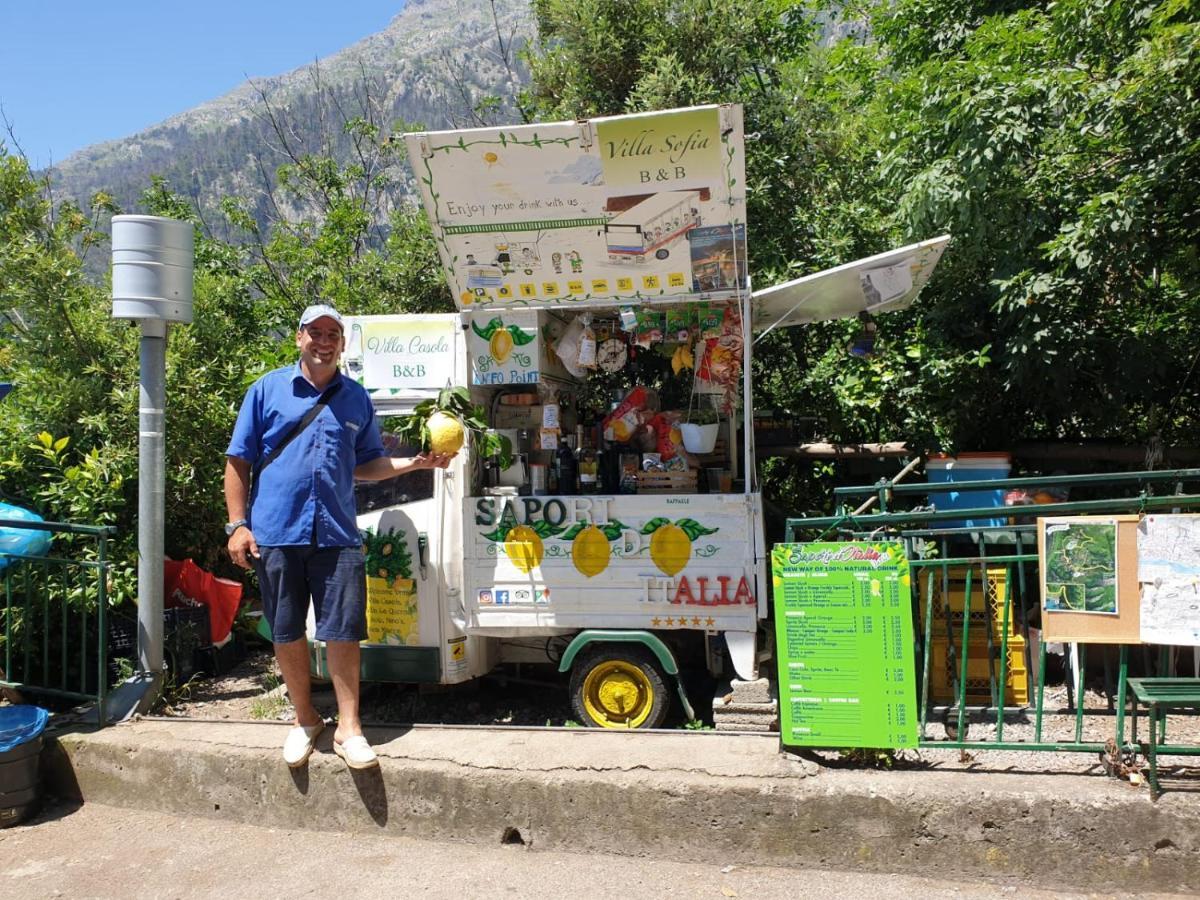 Ferienwohnung Nino'S In Nocelle Positano Exterior foto
